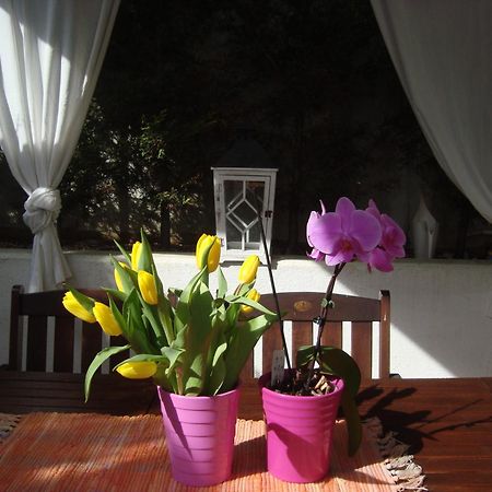 Apartment Villa Holiday II PUY 외부 사진