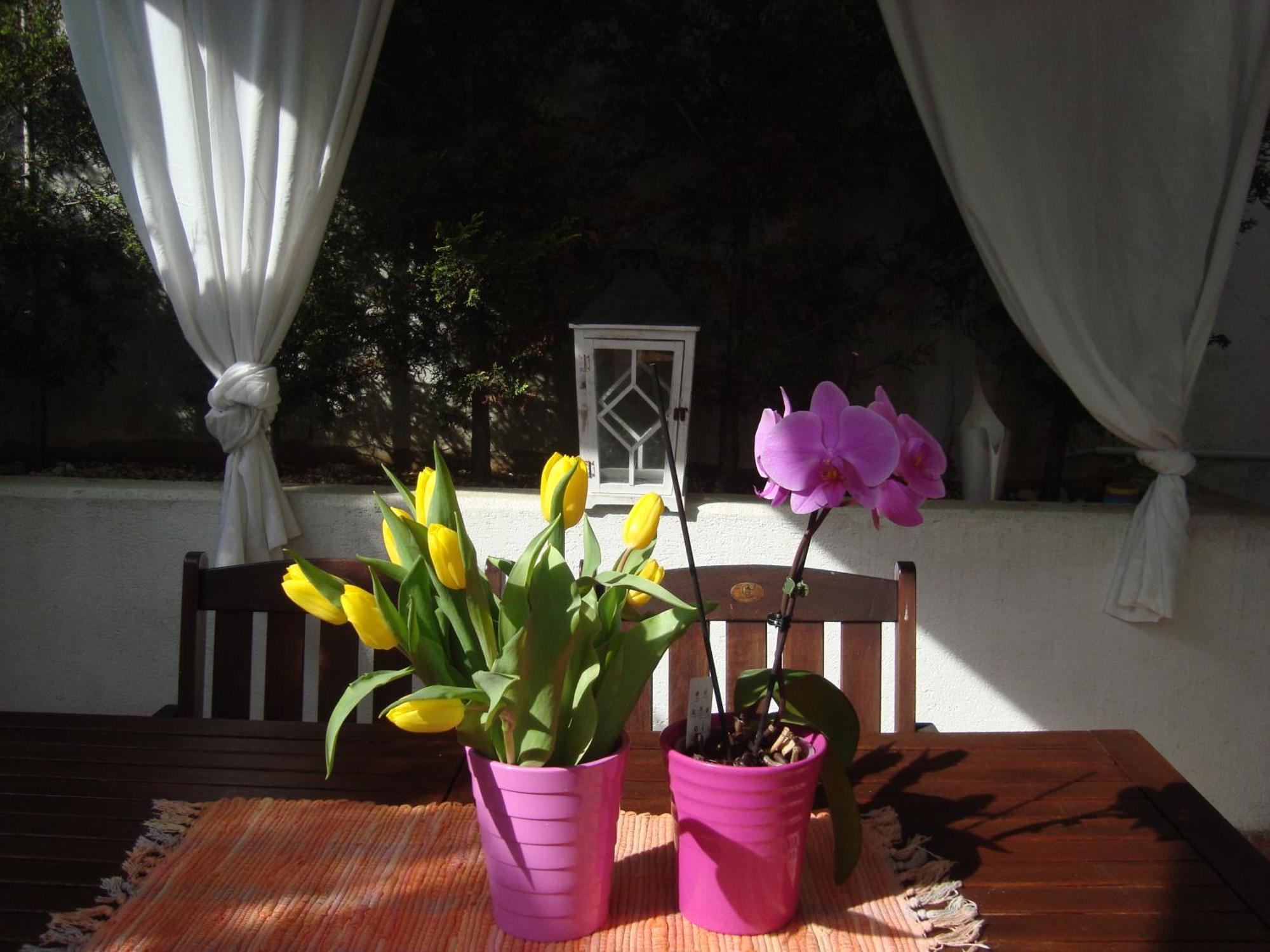 Apartment Villa Holiday II PUY 외부 사진